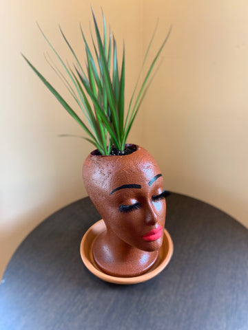 Hand Painted Chocolate Complexion Indoor House Planter